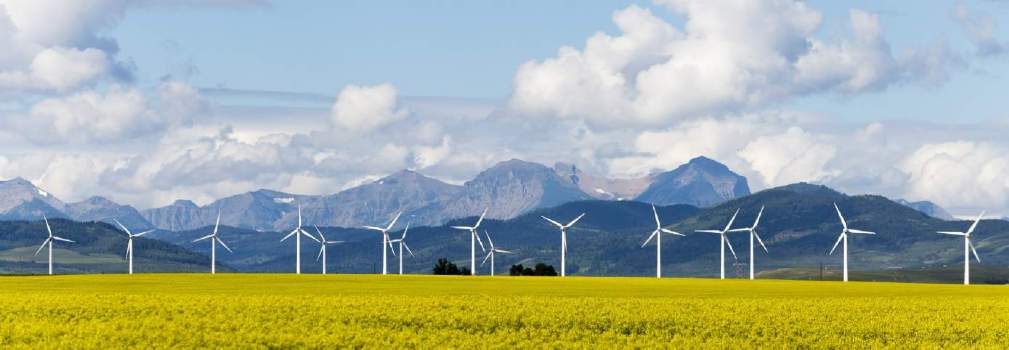 ESG and Sustainability